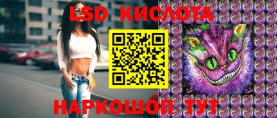 spice Гатчина