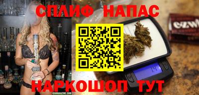 spice Гатчина