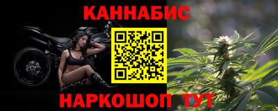 spice Гатчина
