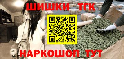spice Гатчина