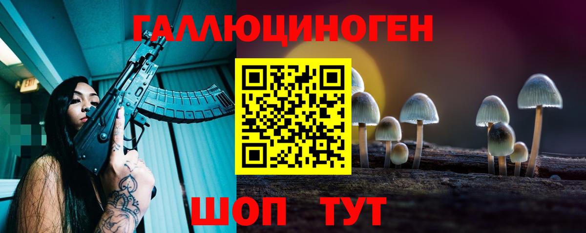 Галлюциногенные грибы MAGIC MUSHROOMS  Вход с VPN  Кинешма 